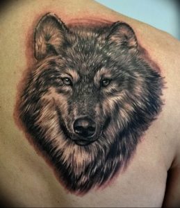 Фото тату волк 20.05.2019 №225 - photo tattoo wolf - tattoo-photo.ru