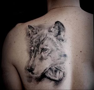 Фото тату волк 20.05.2019 №232 - photo tattoo wolf - tattoo-photo.ru