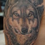 Фото тату волк 20.05.2019 №251 - photo tattoo wolf - tattoo-photo.ru
