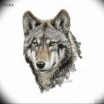 Фото тату волк 20.05.2019 №265 - photo tattoo wolf - tattoo-photo.ru