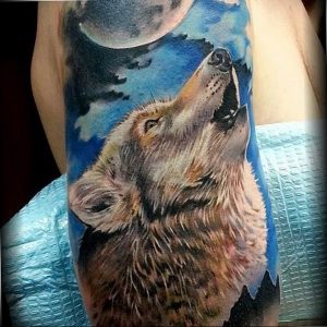 Фото тату волк 20.05.2019 №333 - photo tattoo wolf - tattoo-photo.ru
