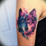 Фото тату волк 20.05.2019 №344 - photo tattoo wolf - tattoo-photo.ru