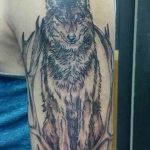Фото тату волк 20.05.2019 №375 - photo tattoo wolf - tattoo-photo.ru