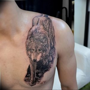 Фото тату волк 20.05.2019 №387 - photo tattoo wolf - tattoo-photo.ru