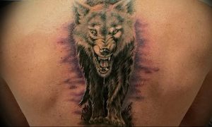 Фото тату волк 20.05.2019 №388 - photo tattoo wolf - tattoo-photo.ru