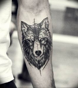 Фото тату волк 20.05.2019 №013 - photo tattoo wolf - tattoo-photo.ru