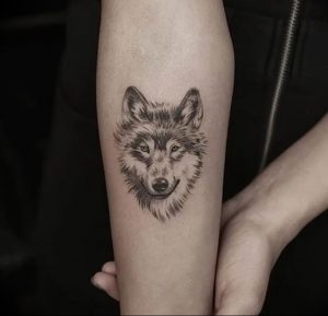 Фото тату волк 20.05.2019 №020 - photo tattoo wolf - tattoo-photo.ru
