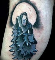 Фото тату волк 20.05.2019 №035 — photo tattoo wolf — tattoo-photo.ru
