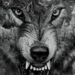 Фото тату волк 20.05.2019 №041 - photo tattoo wolf - tattoo-photo.ru