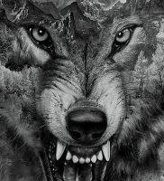 Фото тату волк 20.05.2019 №041 — photo tattoo wolf — tattoo-photo.ru