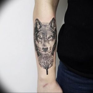 Фото тату волк 20.05.2019 №046 - photo tattoo wolf - tattoo-photo.ru