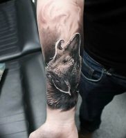 Фото тату волк 20.05.2019 №056 — photo tattoo wolf — tattoo-photo.ru