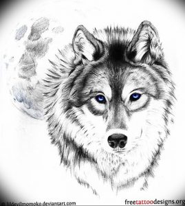 Фото тату волк 20.05.2019 №063 - photo tattoo wolf - tattoo-photo.ru