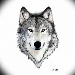 Фото тату волк 20.05.2019 №098 - photo tattoo wolf - tattoo-photo.ru
