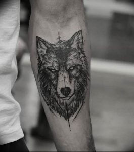 Фото тату волк 20.05.2019 №144 - photo tattoo wolf - tattoo-photo.ru