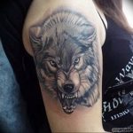 Фото тату волк 20.05.2019 №147 - photo tattoo wolf - tattoo-photo.ru