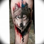 Фото тату волк 20.05.2019 №153 - photo tattoo wolf - tattoo-photo.ru