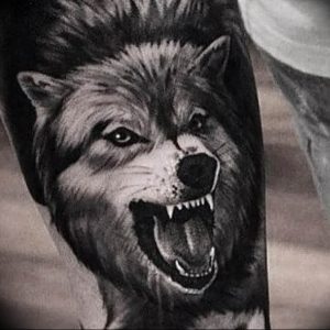 Фото тату волк 20.05.2019 №157 - photo tattoo wolf - tattoo-photo.ru
