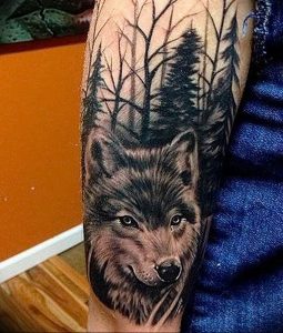 Фото тату волк 20.05.2019 №167 - photo tattoo wolf - tattoo-photo.ru