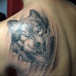 Фото тату волк 20.05.2019 №173 - photo tattoo wolf - tattoo-photo.ru