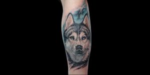 Фото тату волк 20.05.2019 №185 - photo tattoo wolf - tattoo-photo.ru
