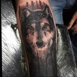 Фото тату волк 20.05.2019 №200 - photo tattoo wolf - tattoo-photo.ru