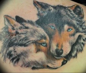 Фото тату волк 20.05.2019 №201 - photo tattoo wolf - tattoo-photo.ru
