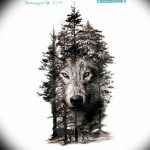 Фото тату волк 20.05.2019 №220 - photo tattoo wolf - tattoo-photo.ru
