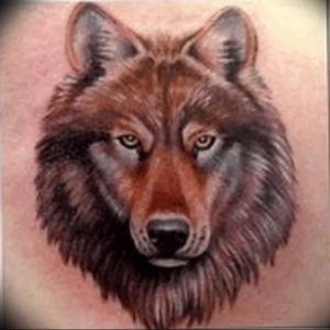 Фото тату волк 20.05.2019 №223 - photo tattoo wolf - tattoo-photo.ru
