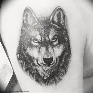 Фото тату волк 20.05.2019 №241 - photo tattoo wolf - tattoo-photo.ru