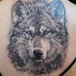 Фото тату волк 20.05.2019 №261 - photo tattoo wolf - tattoo-photo.ru