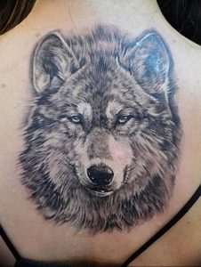 Фото тату волк 20.05.2019 №261 - photo tattoo wolf - tattoo-photo.ru