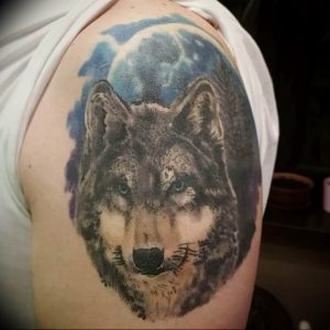 Фото тату волк 20.05.2019 №268 - photo tattoo wolf - tattoo-photo.ru