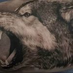 Фото тату волк 20.05.2019 №270 - photo tattoo wolf - tattoo-photo.ru