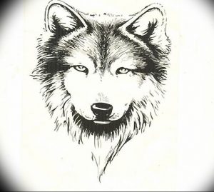 Фото тату волк 20.05.2019 №274 - photo tattoo wolf - tattoo-photo.ru