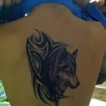 Фото тату волк 20.05.2019 №275 - photo tattoo wolf - tattoo-photo.ru