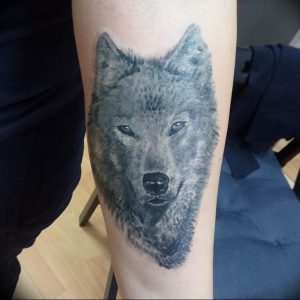 Фото тату волк 20.05.2019 №286 - photo tattoo wolf - tattoo-photo.ru