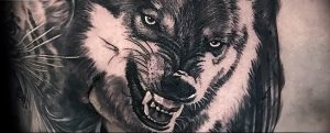 Фото тату волк 20.05.2019 №297 - photo tattoo wolf - tattoo-photo.ru