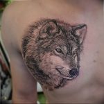 Фото тату волк 20.05.2019 №303 - photo tattoo wolf - tattoo-photo.ru
