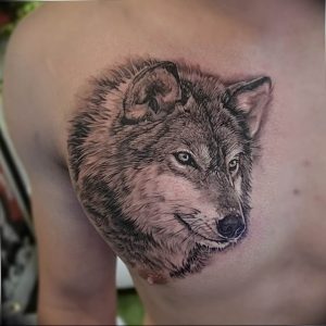 Фото тату волк 20.05.2019 №303 - photo tattoo wolf - tattoo-photo.ru