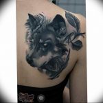 Фото тату волк 20.05.2019 №328 - photo tattoo wolf - tattoo-photo.ru