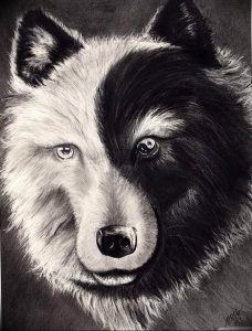 Фото тату волк 20.05.2019 №334 - photo tattoo wolf - tattoo-photo.ru