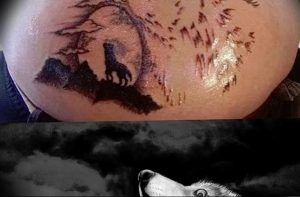 Фото тату волк 20.05.2019 №338 - photo tattoo wolf - tattoo-photo.ru