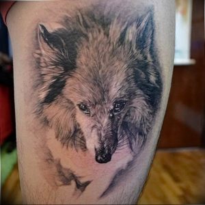 Фото тату волк 20.05.2019 №348 - photo tattoo wolf - tattoo-photo.ru