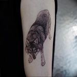 Фото тату волк 20.05.2019 №366 - photo tattoo wolf - tattoo-photo.ru
