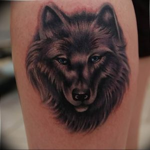Фото тату волк 20.05.2019 №372 - photo tattoo wolf - tattoo-photo.ru