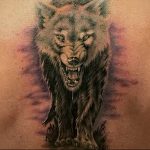 Фото тату волк 20.05.2019 №388 - photo tattoo wolf - tattoo-photo.ru