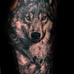 Фото тату волк 20.05.2019 №394 - photo tattoo wolf - tattoo-photo.ru