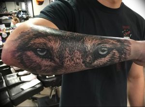 Фото тату волк 20.05.2019 №418 - photo tattoo wolf - tattoo-photo.ru