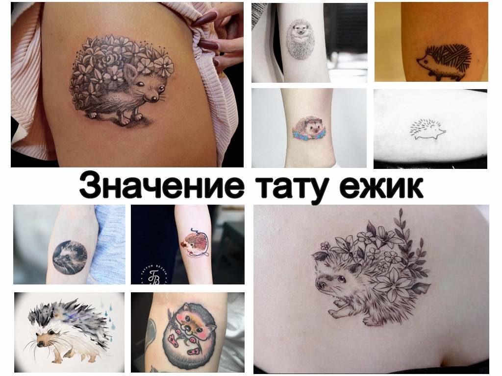 Значение тату ежик - информация про варианты и особенности рисунка - фото коллекция готовых рисунков татуировки